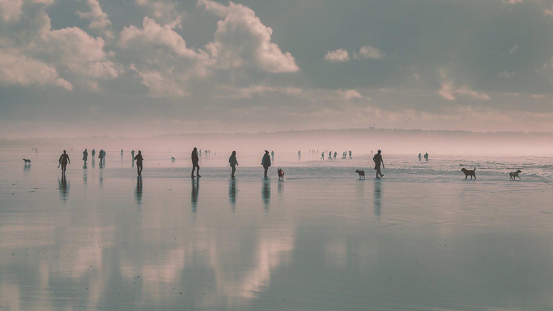 People and dogs walking on a beach with a reflective water surface and cloudy sky.
