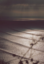 Load image into Gallery viewer, 5887407
