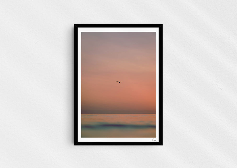 Lost Sailors Guide, a colour photographic print of a seabird over a calm ocean in a black frame.
