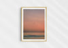 Lost Sailors Guide, a colour photographic print of a seabird over a calm ocean in a wood frame.