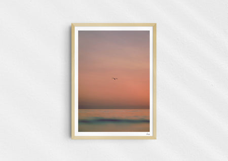 Lost Sailors Guide, a colour photographic print of a seabird over a calm ocean in a wood frame.