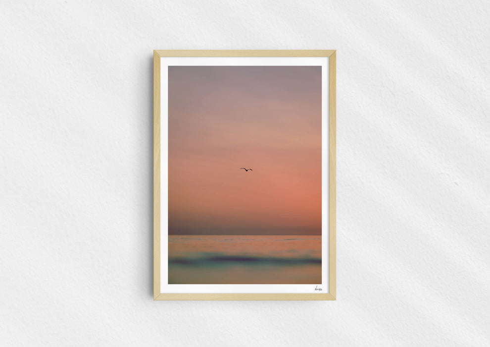 Lost Sailors Guide, a colour photographic print of a seabird over a calm ocean in a wood frame.