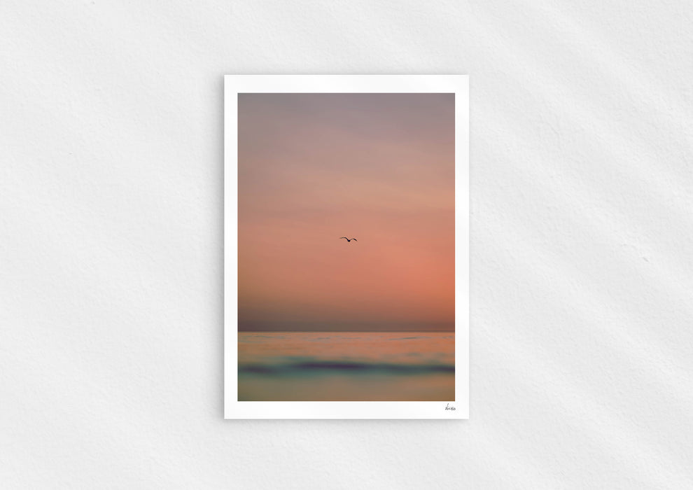 Lost Sailors Guide, a colour photographic print of a seabird over a calm ocean.