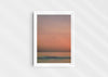 Lost Sailors Guide, a colour photographic print of a seabird over a calm ocean in a white frame.