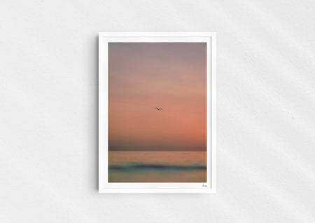 Lost Sailors Guide, a colour photographic print of a seabird over a calm ocean in a white frame.