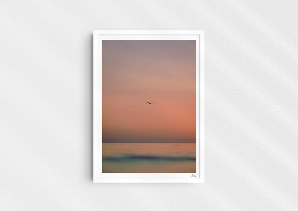 Lost Sailors Guide, a colour photographic print of a seabird over a calm ocean in a white frame.