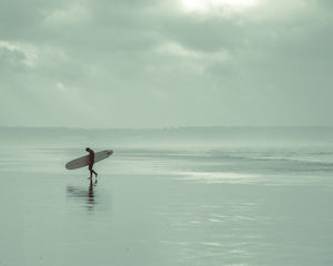 Beginner Photography Workshop
