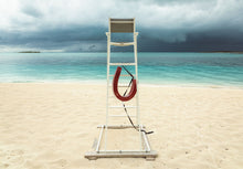 Load image into Gallery viewer, Lifeguard not Included
