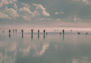 Beach Fever